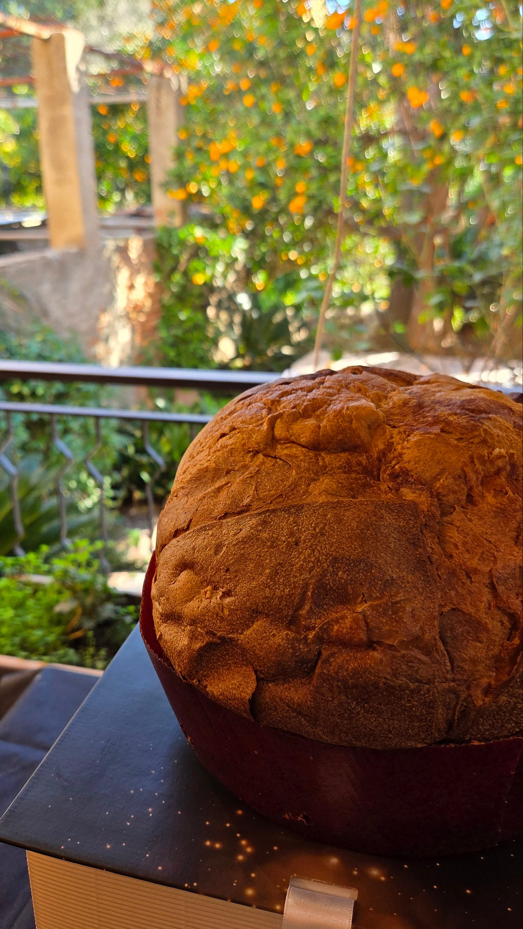 Panettone Milano