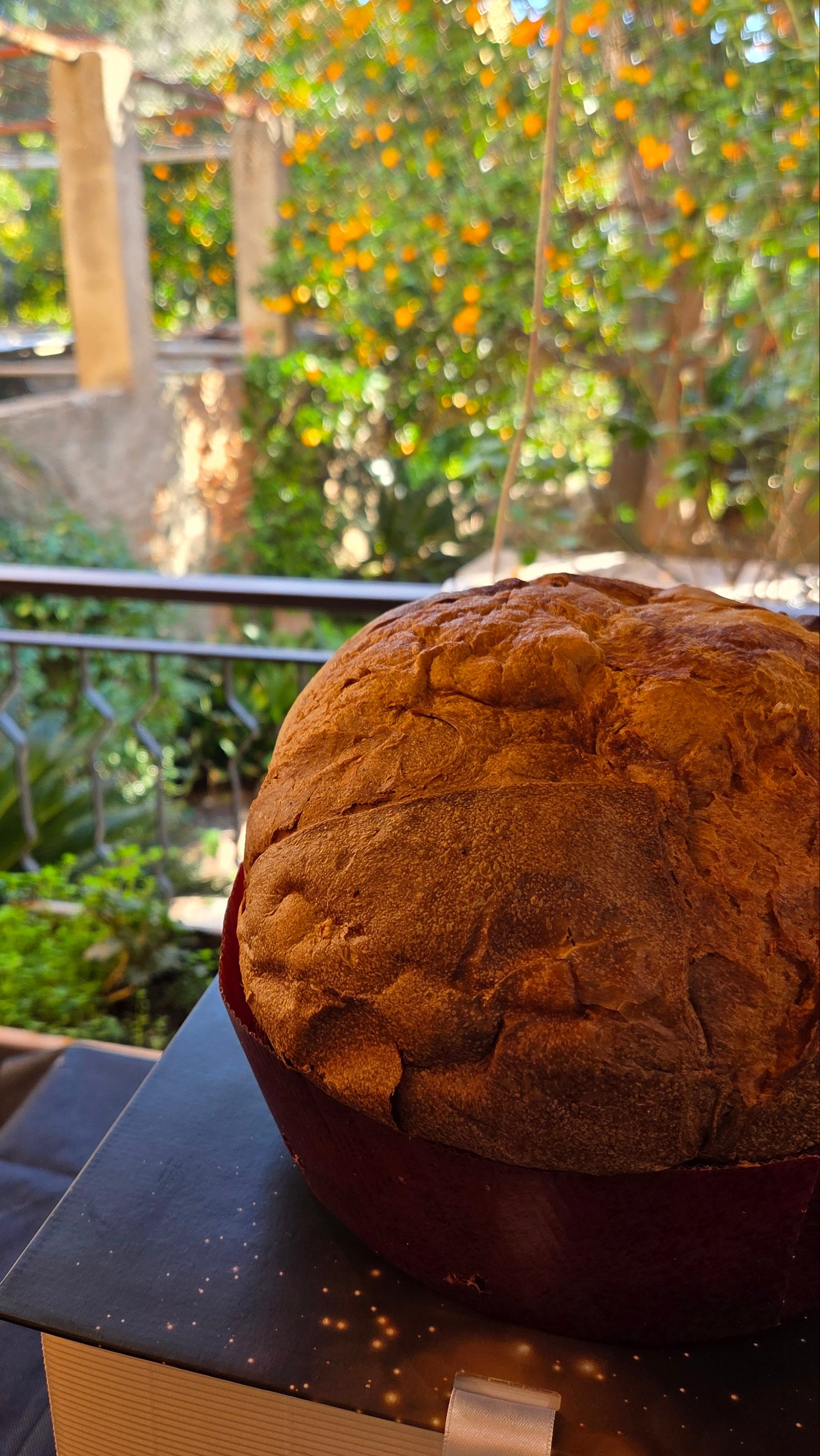 Panettone Milano