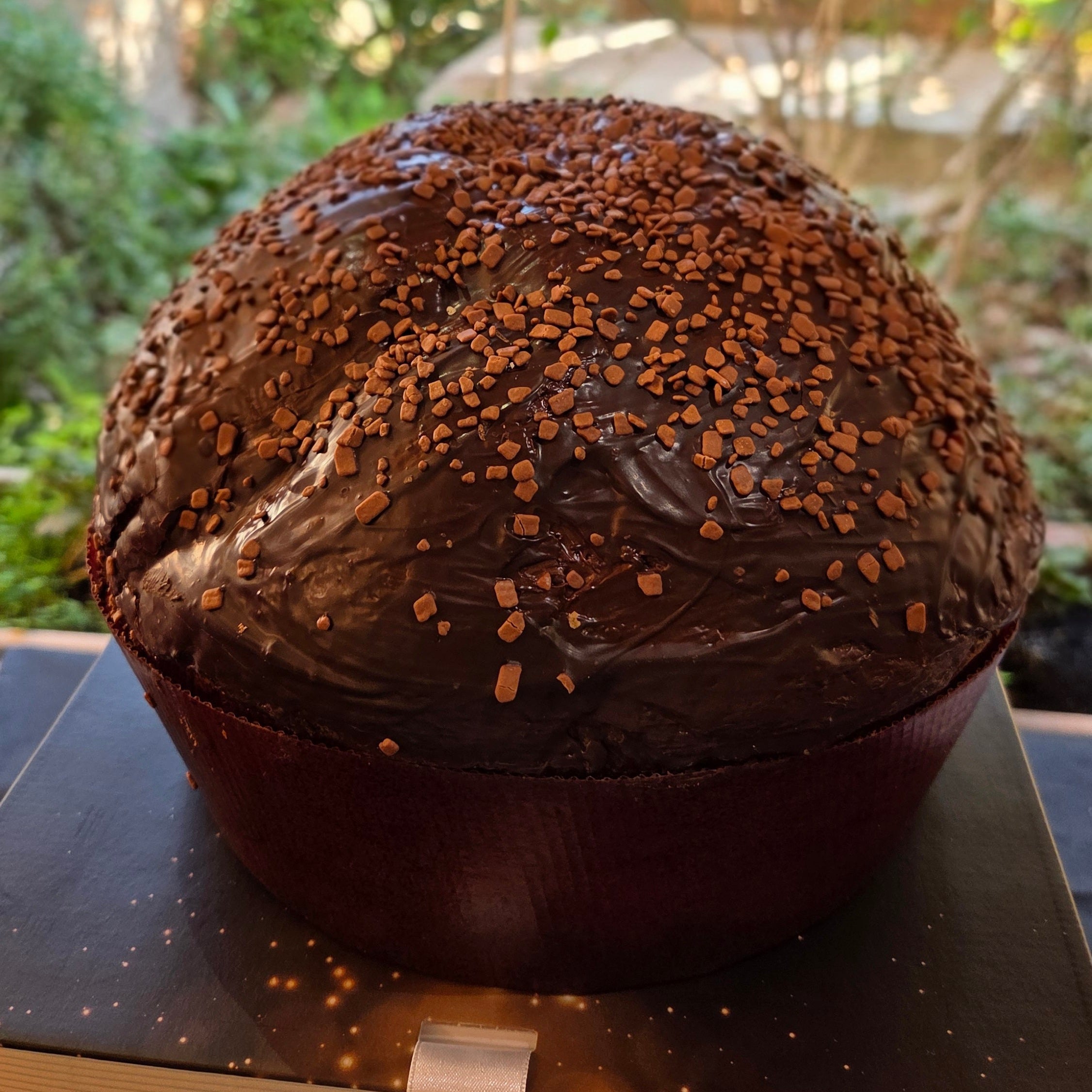 Panettone natalizio interamente ricoperto di glassa al cioccolato