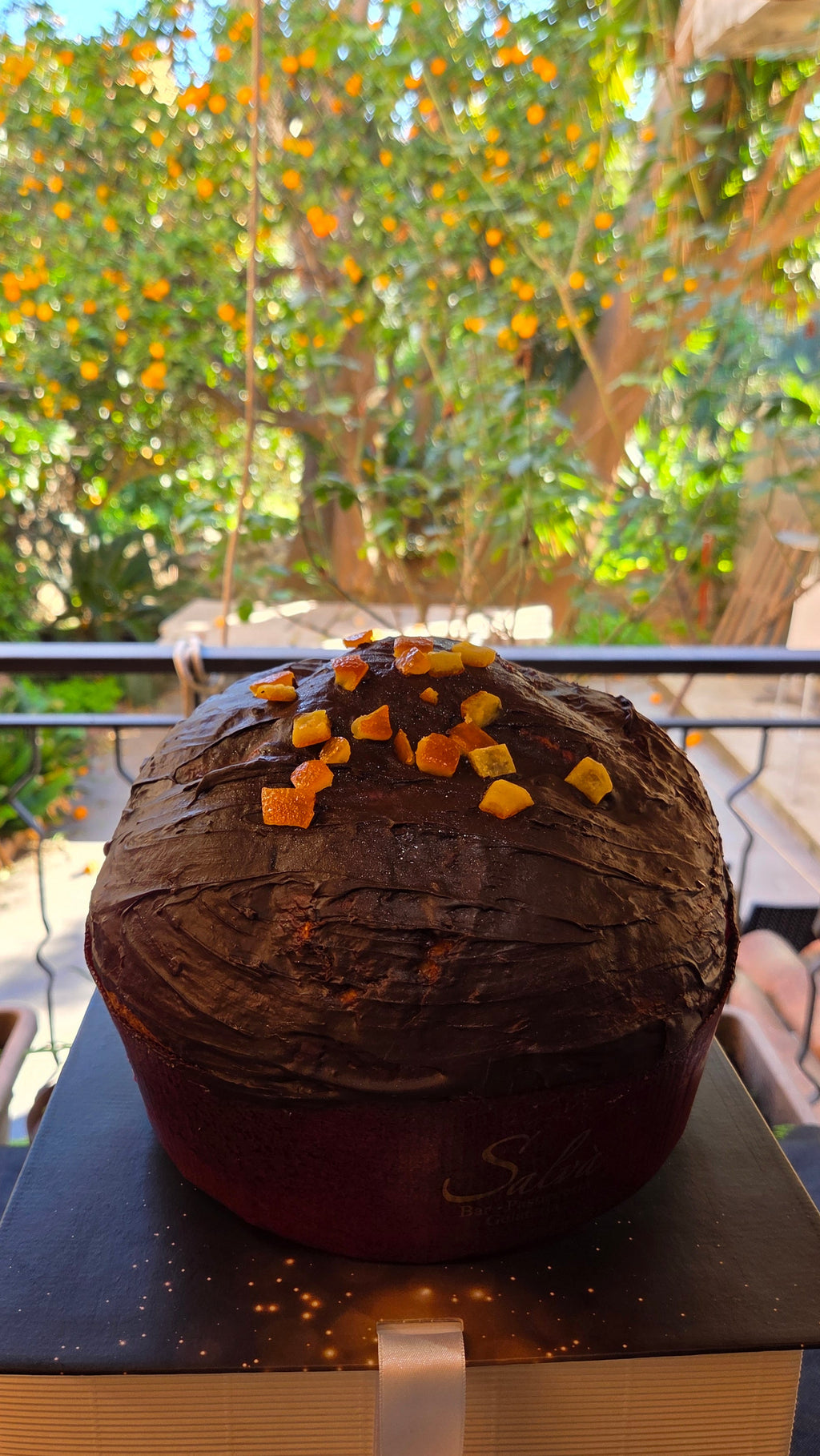 Panettone Pasticceria Salvà gusto arancia e cioccolato in confezione regalo