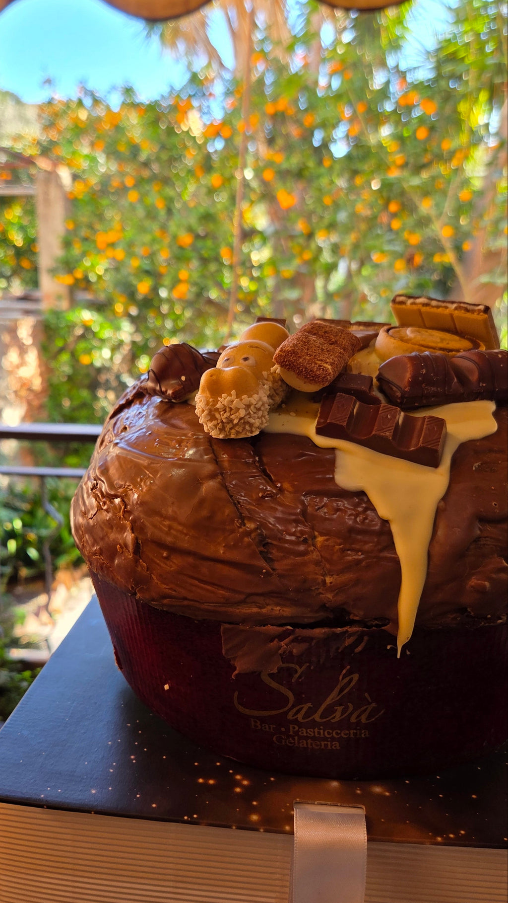 Panettone artigianale nocciola e cioccolato con glassa colante visto di lato
