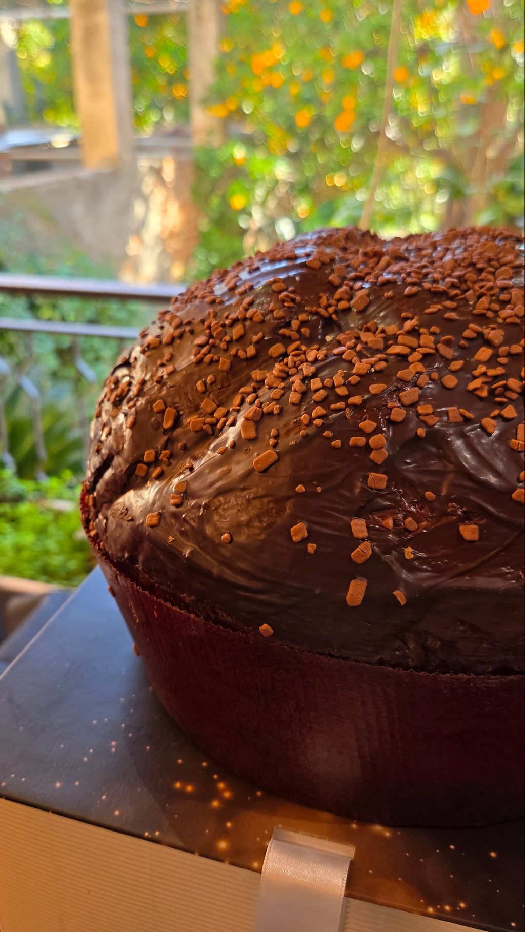 Panettone al cioccolato Pasticceria Salvà pronto per essere confezionato