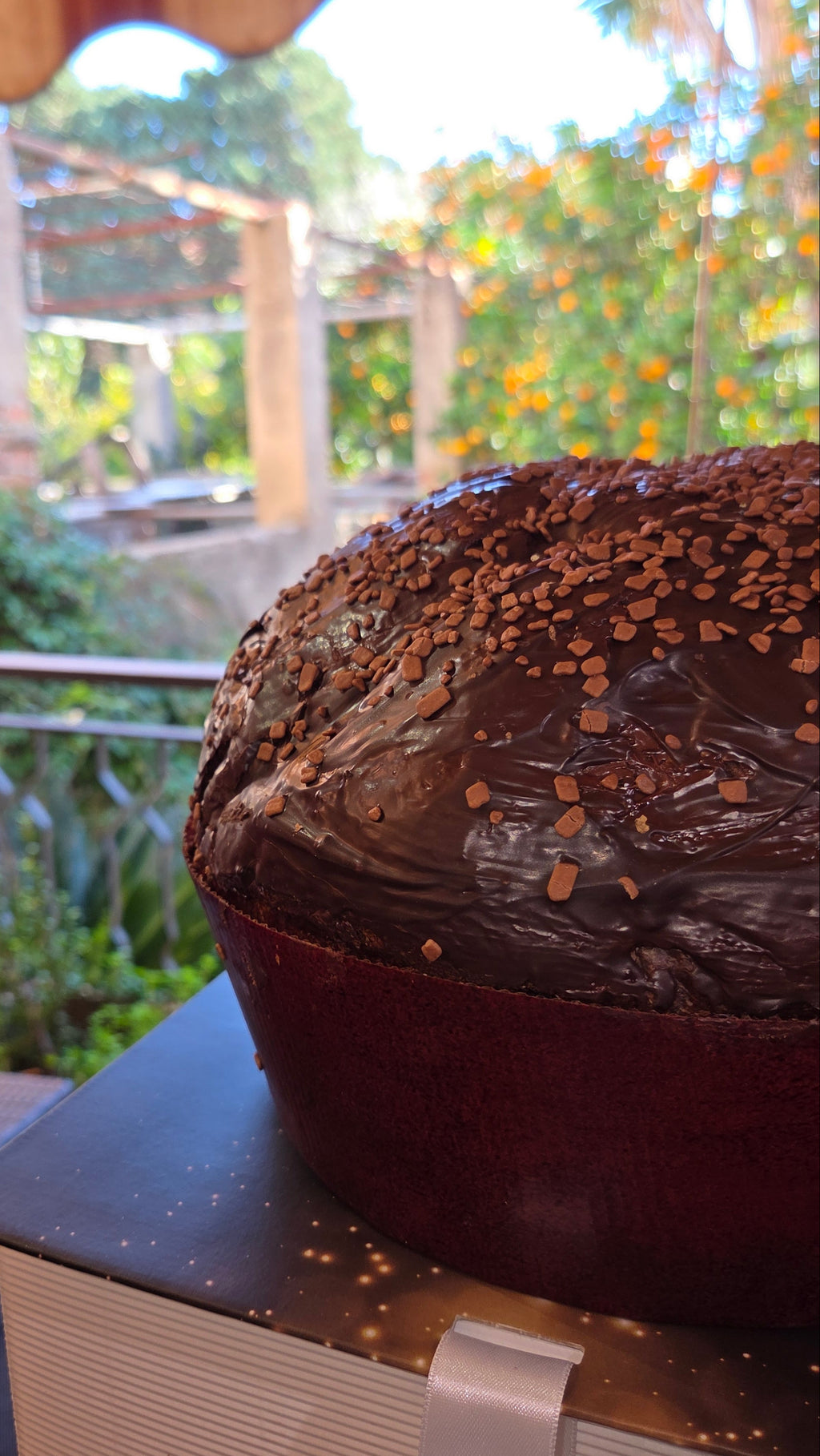 Dettaglio della glassatura lucida al cioccolato fondente del panettone