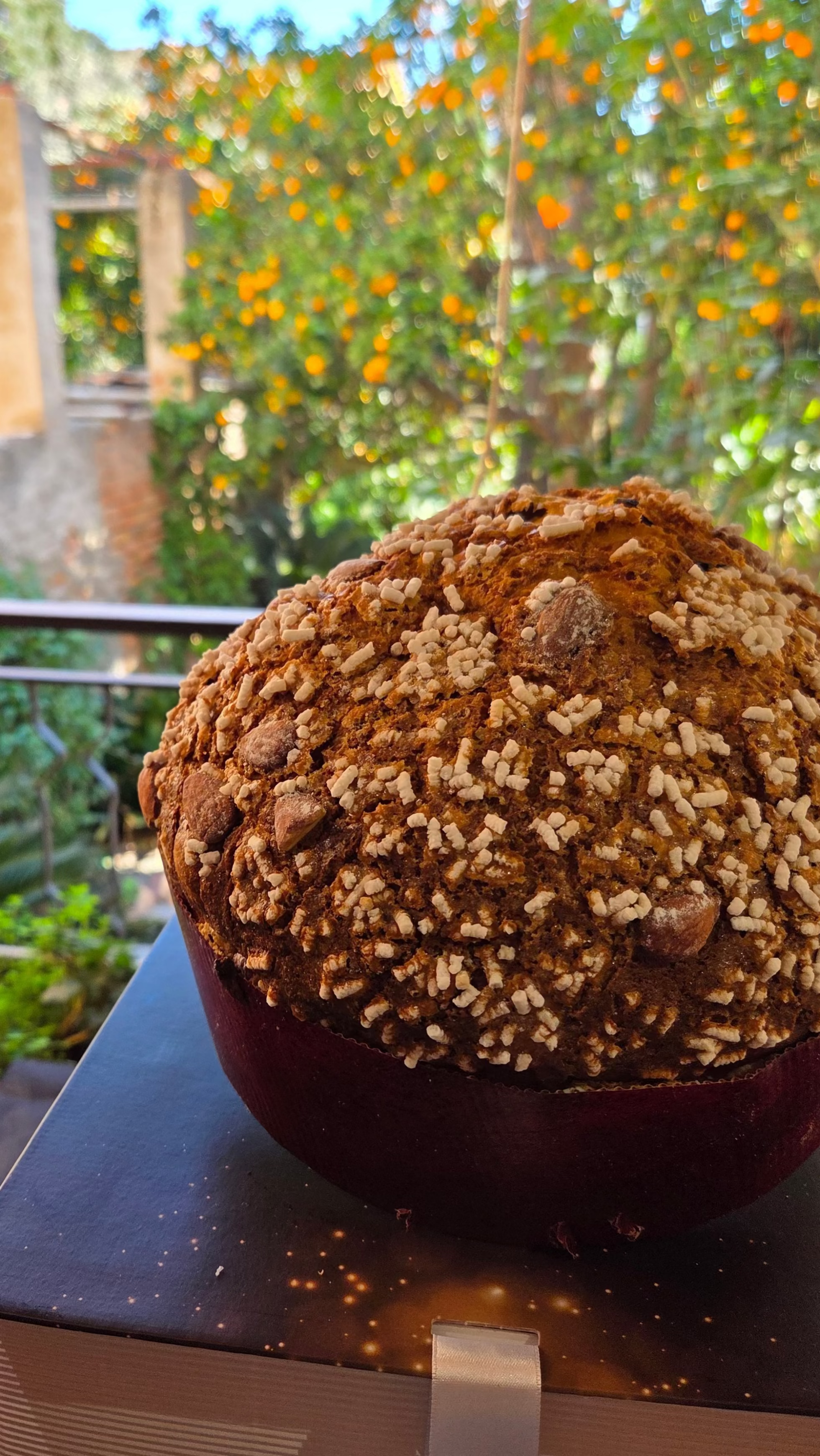 Dettaglio della glassatura croccante alle mandorle del panettone classico