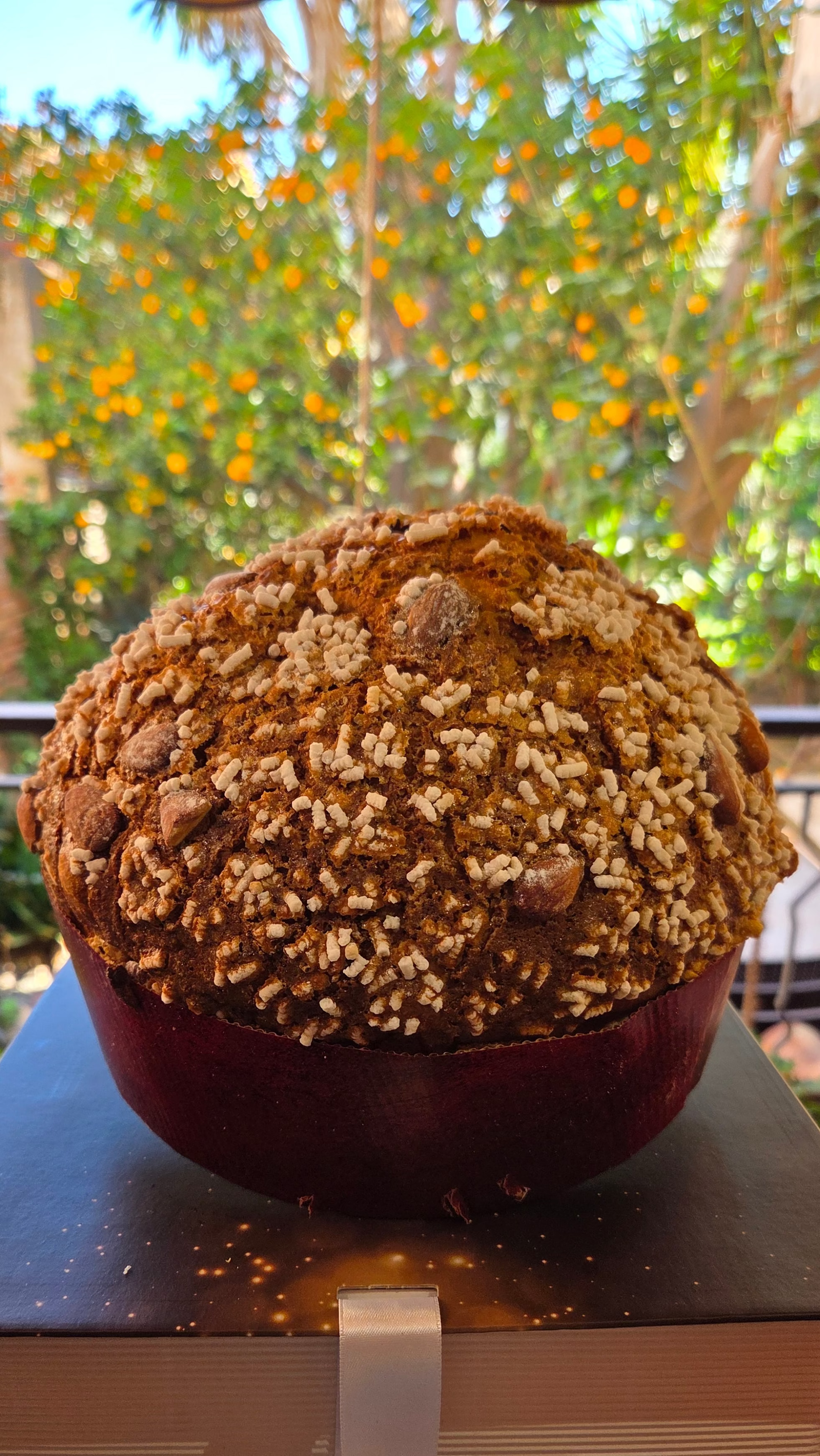 Panettone artigianale alto ricoperto di mandorle e zucchero